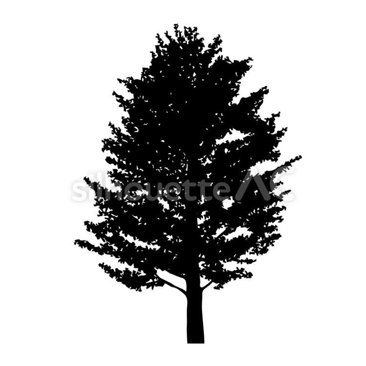 木, 1本, 葉子, 一個例證, JPEG, SVG, PNG 和 EPS